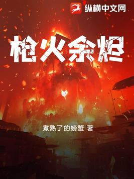 枪火余烬小说